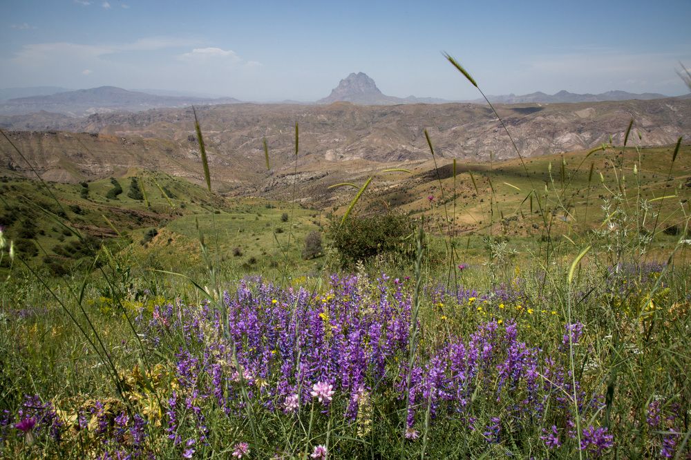 Photograph by Наталья Снеговая