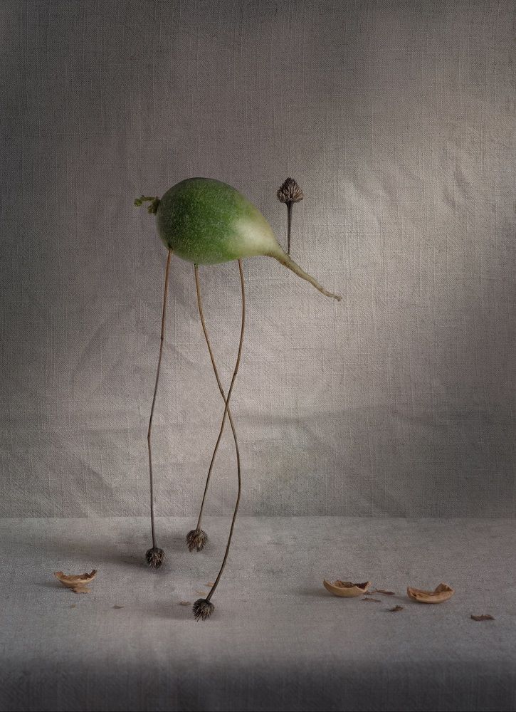 Photograph by Татьяна Светличная