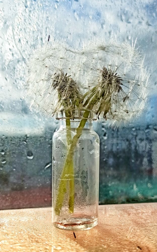 Photograph by Максим Лапин