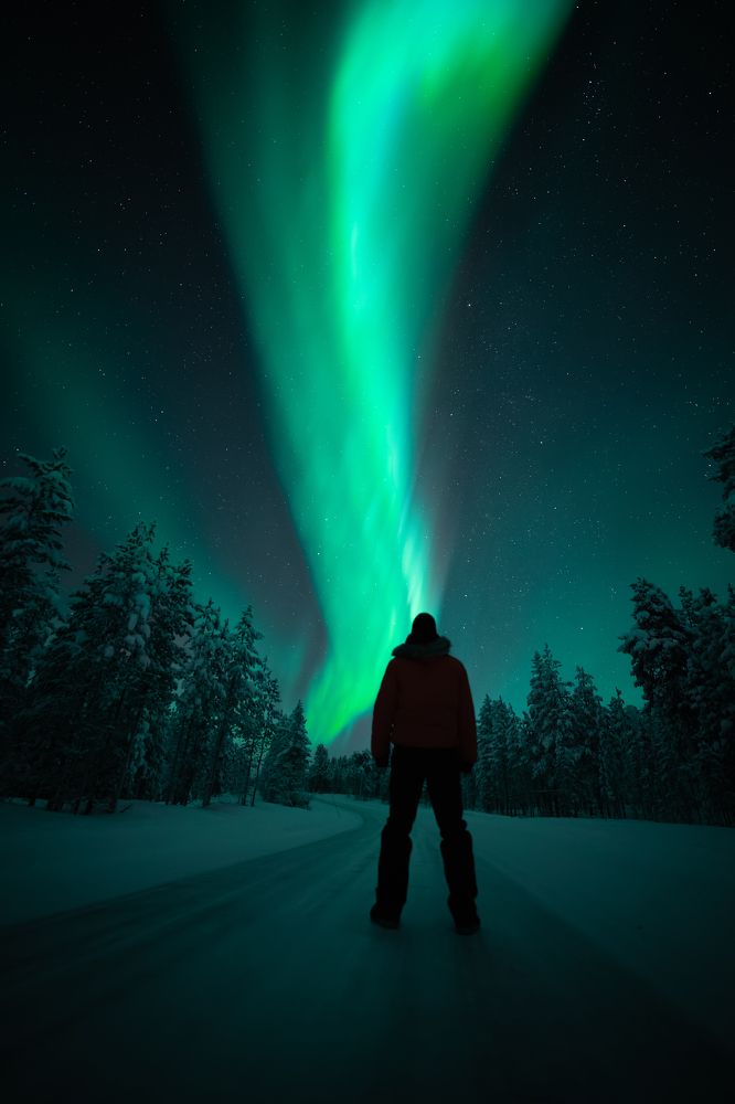 Photograph by Bosko Ivic