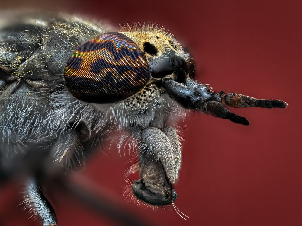 Photograph by Олег Савицкий