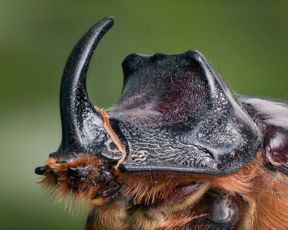 Фотография автора Jose CO