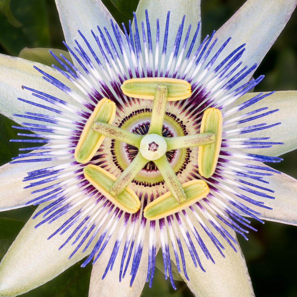 Фотография автора Jose CO