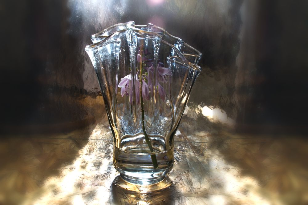 Фотография автора Юлия Кранина