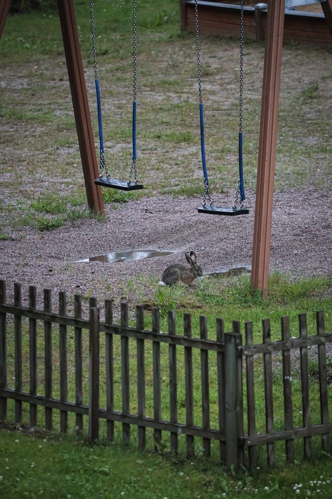 Photograph by Елена Шавшина