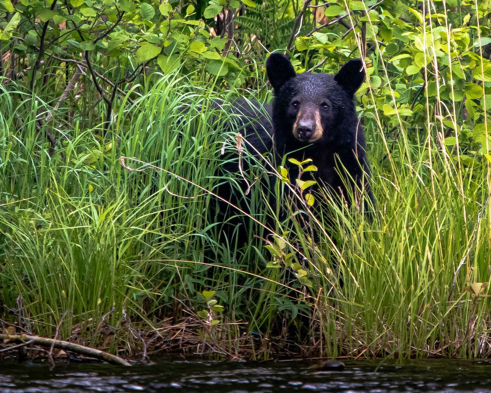 Photograph by JAMES BAILEY