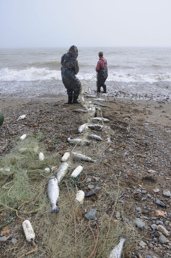 Photograph by Евгений Захаров