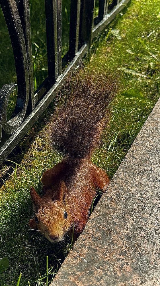 Photograph by Елена Цацулина