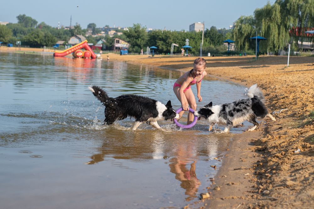 Photograph by наталья залогина