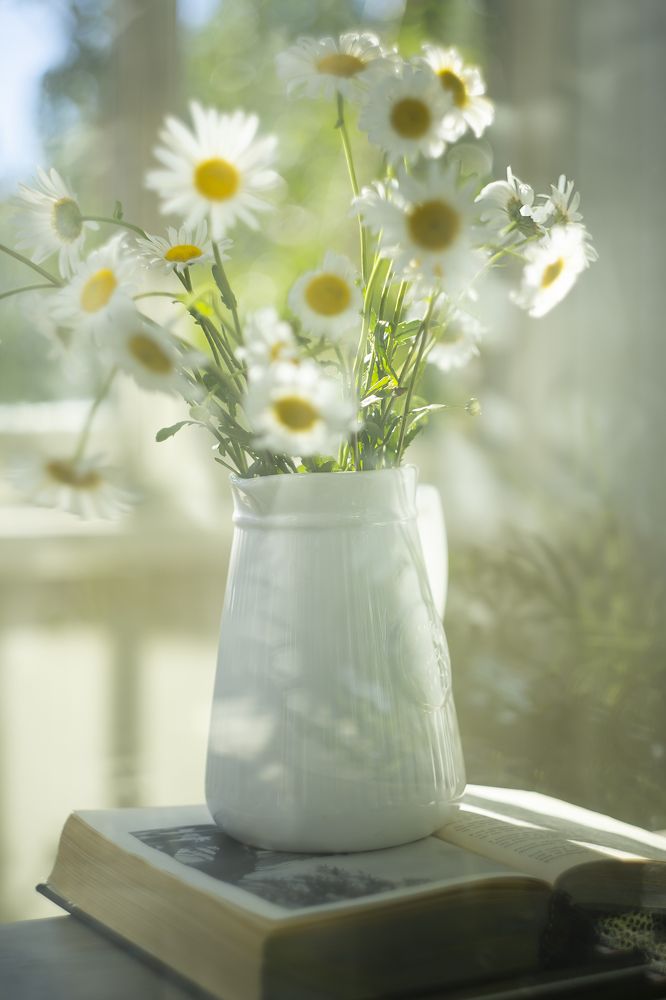 Фотография автора Елена Разина