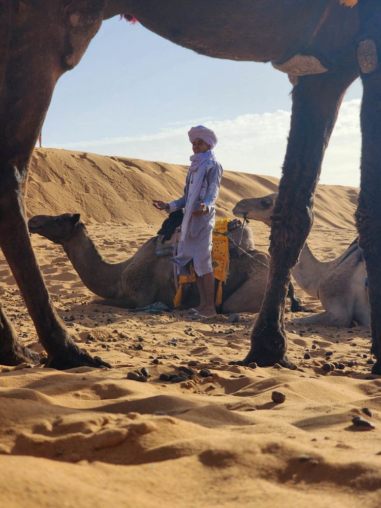 Photograph by esti lahat