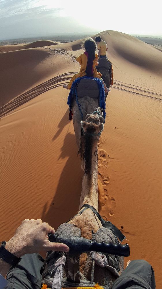 Photograph by esti lahat