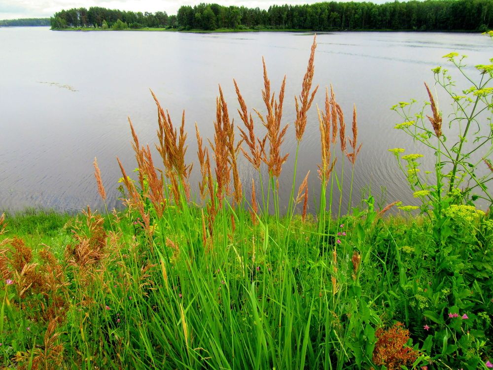 Photograph by Ирина Осипова