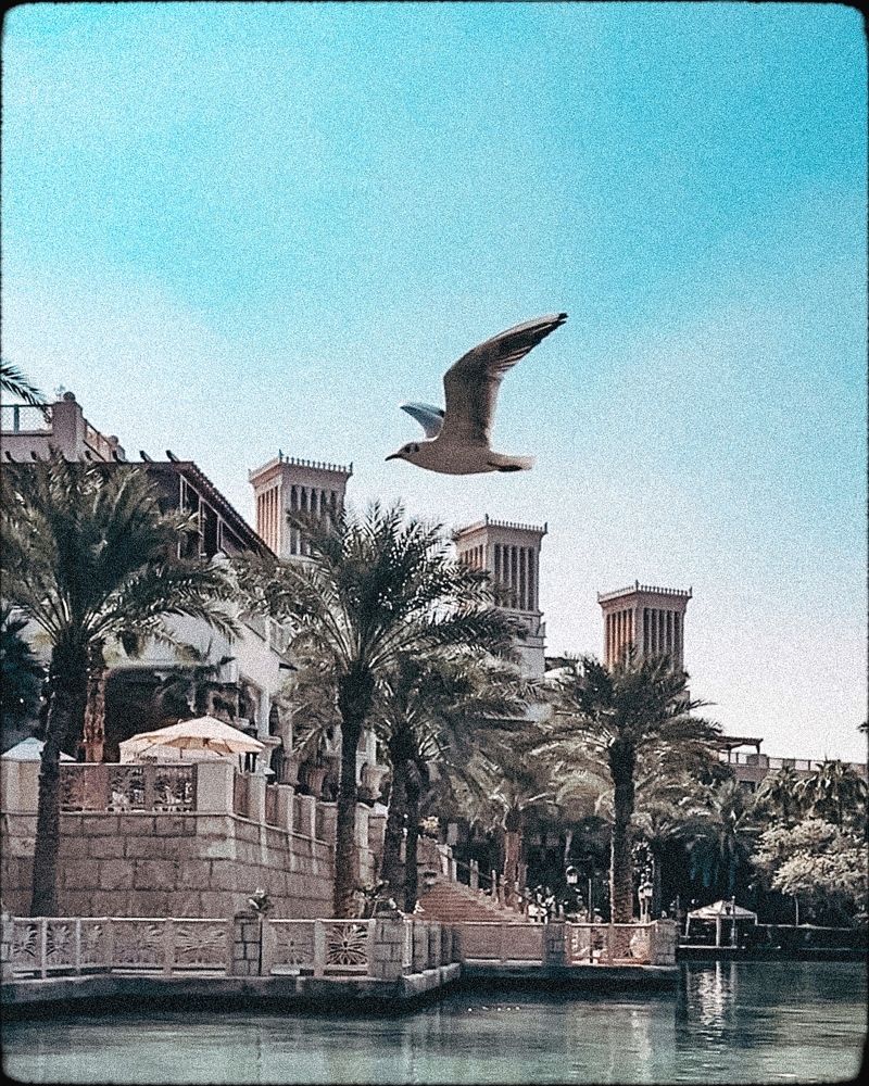 Photograph by Елена Цацулина