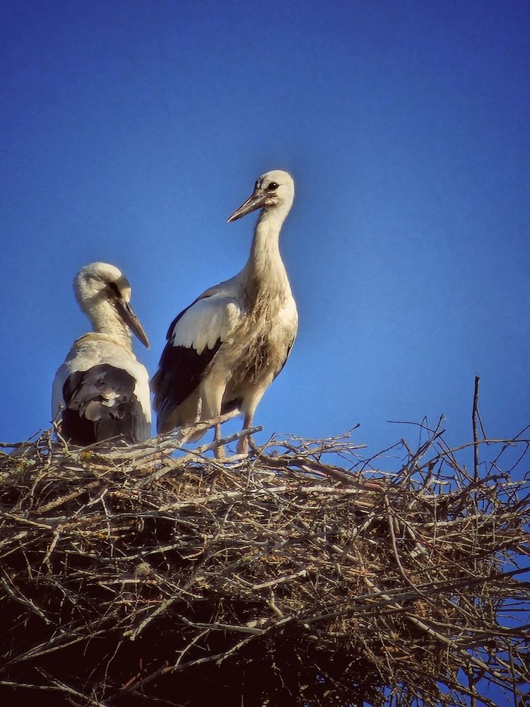 Photograph by Елена Ямнюк