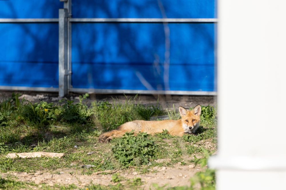 Photograph by Наталья Угрюмова