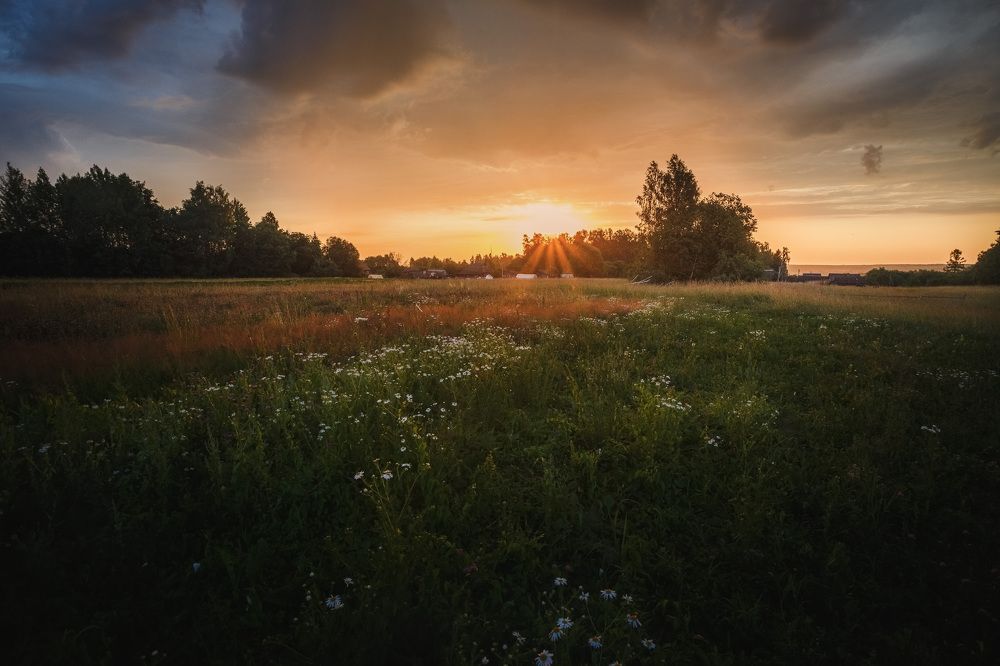 Photograph by Зеленько Дмитрий