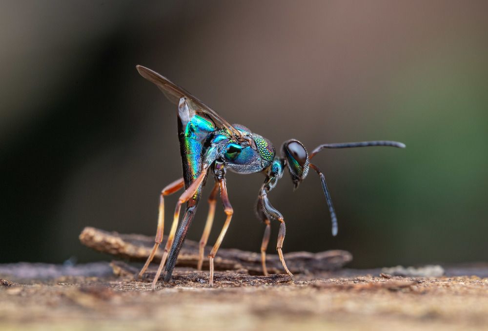 Photograph by Loo kok hua Loo