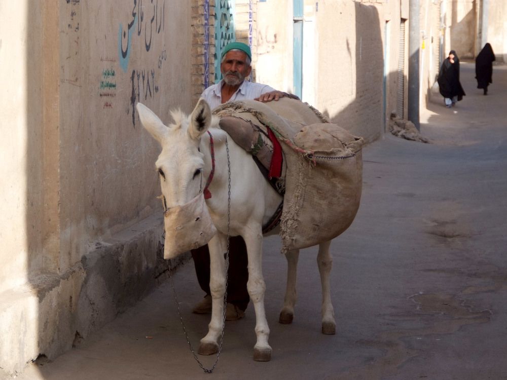 Photograph by Алексей Поляков