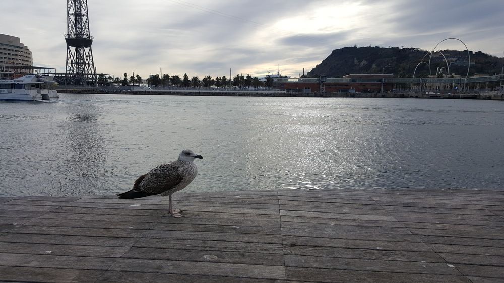 Photograph by наталья