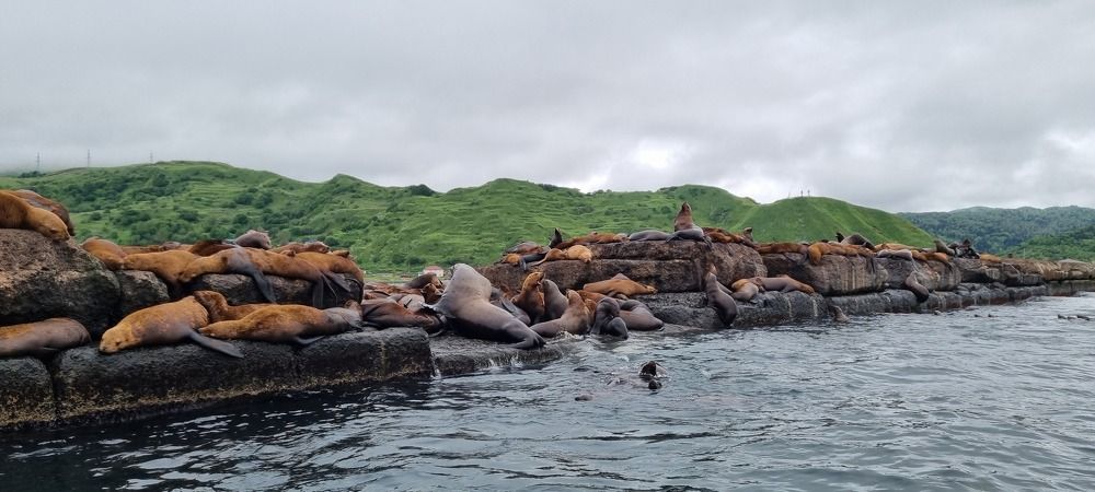 Photograph by наталья