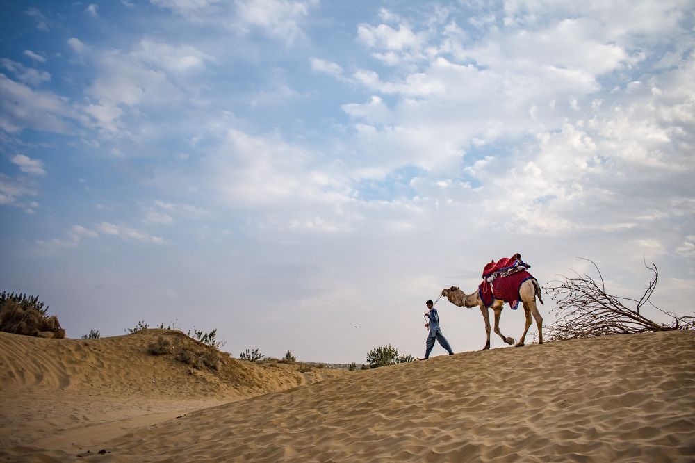 Фотография автора Dipayan Debbarma