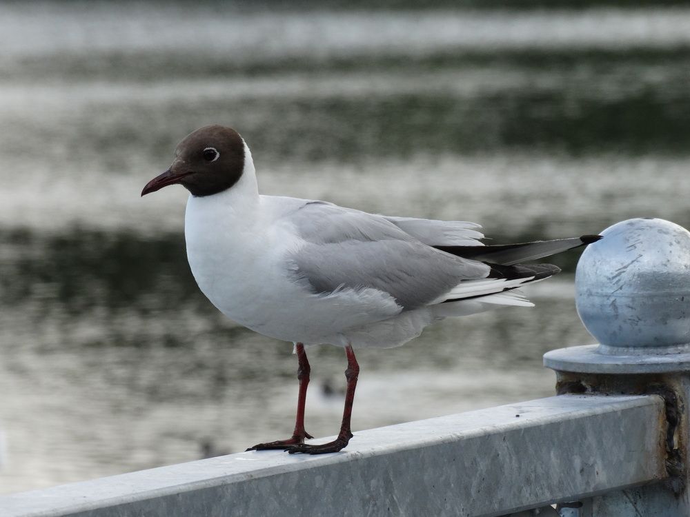 Photograph by Ирина Половцева