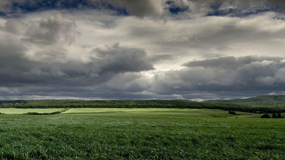 Sky, field, clouds