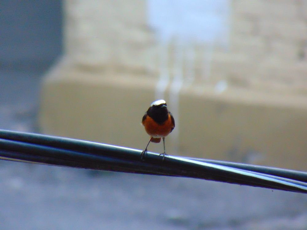 Photograph by Ольга Шевцова