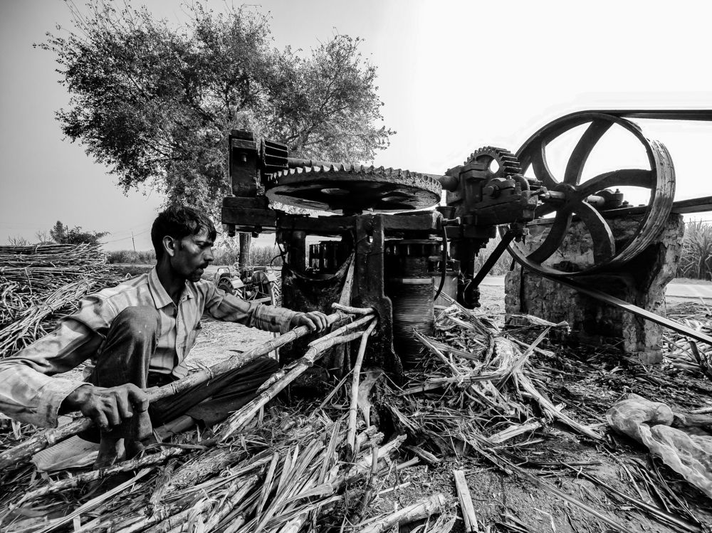 Фотография автора Anuj Medhavi