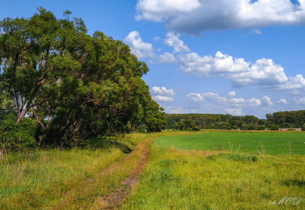 Photograph by Владимир Фролов