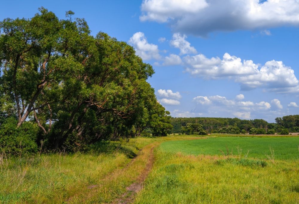 Photograph by Владимир Фролов