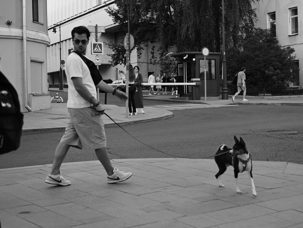 Photograph by Инна Хазанджи