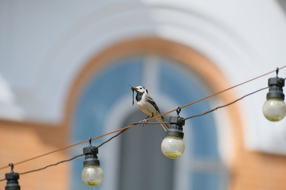 Photograph by Жанна Силаева