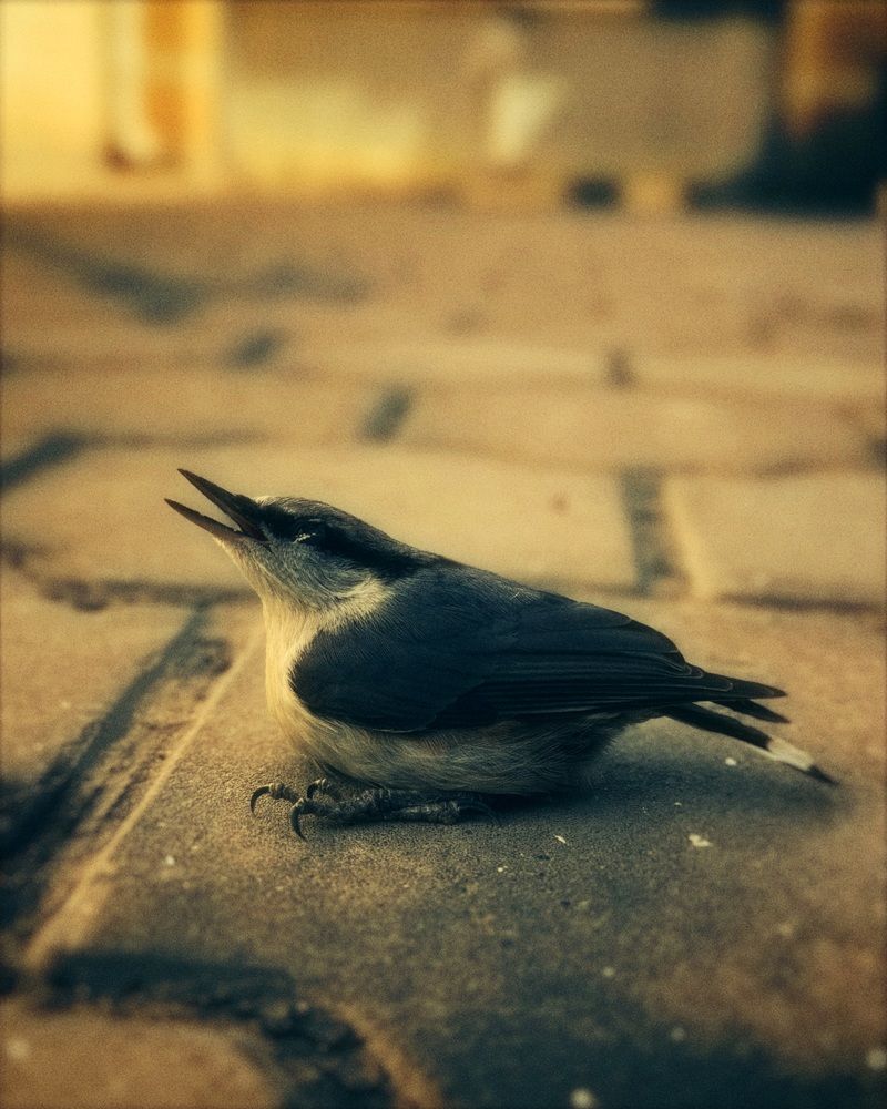 Photograph by Елена Цацулина