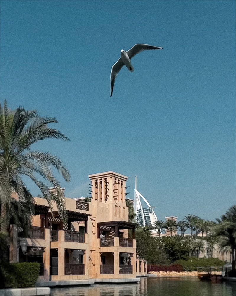 Photograph by Елена Цацулина