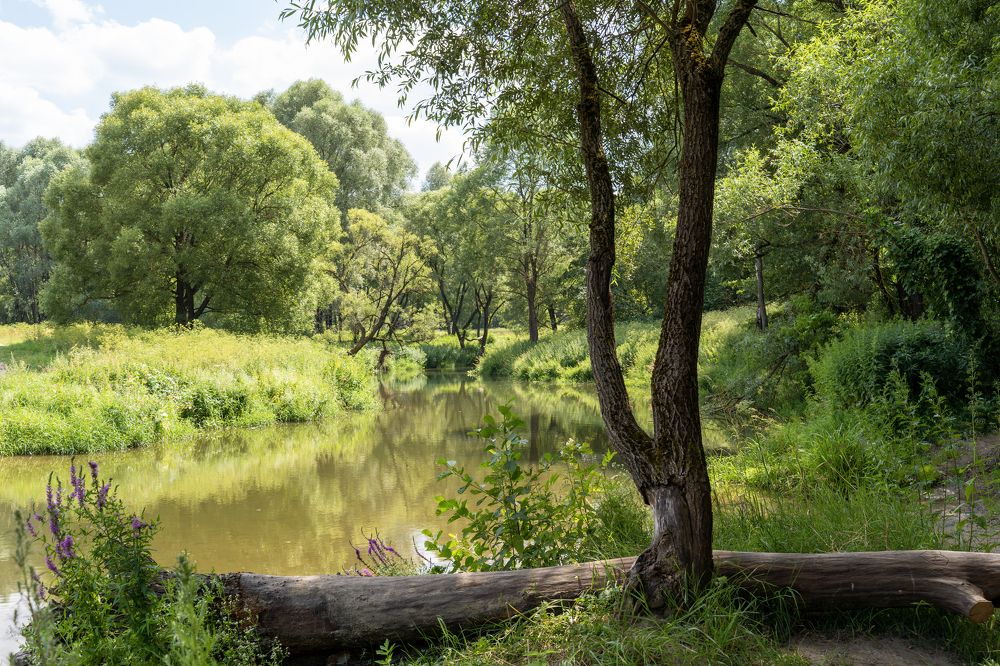 Photograph by Андрей Пучков