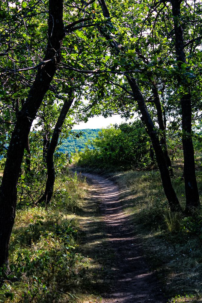 Photograph by Эльвира Куликова