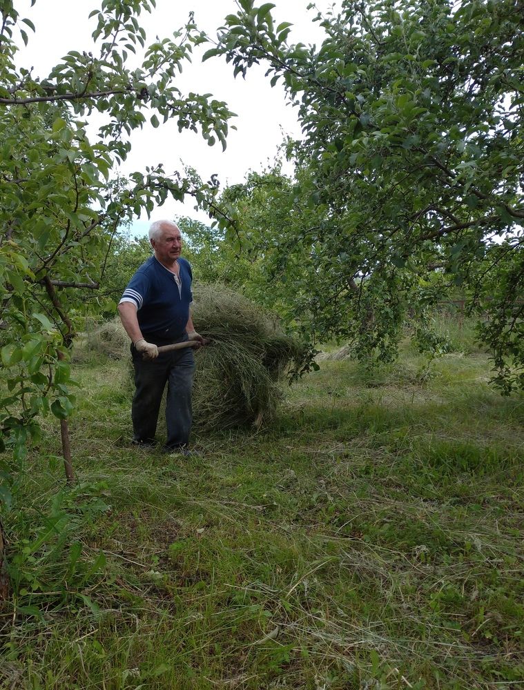 Photograph by Елена Коробченко