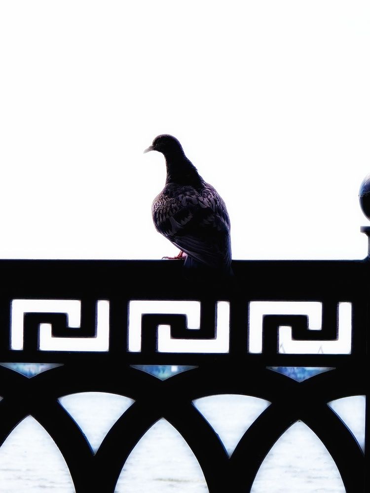 Photograph by Эльвира Куликова