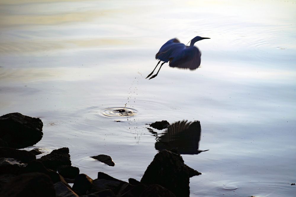 Photograph by Samuel Chan