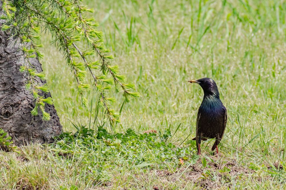 Photograph by Янина Найденцева