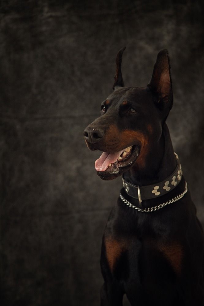 Фотография автора Карина Сагитова