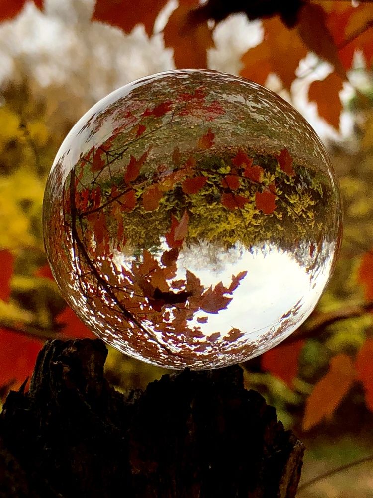 Фото в стеклянном шаре
