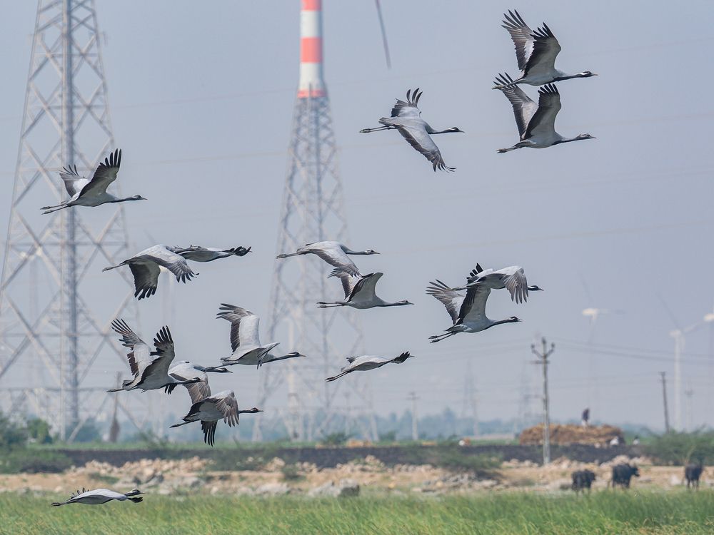 Photograph by Hardeep Solanki