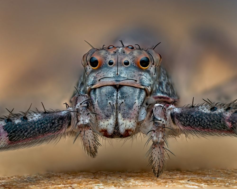 Фотография автора Craig Loechel