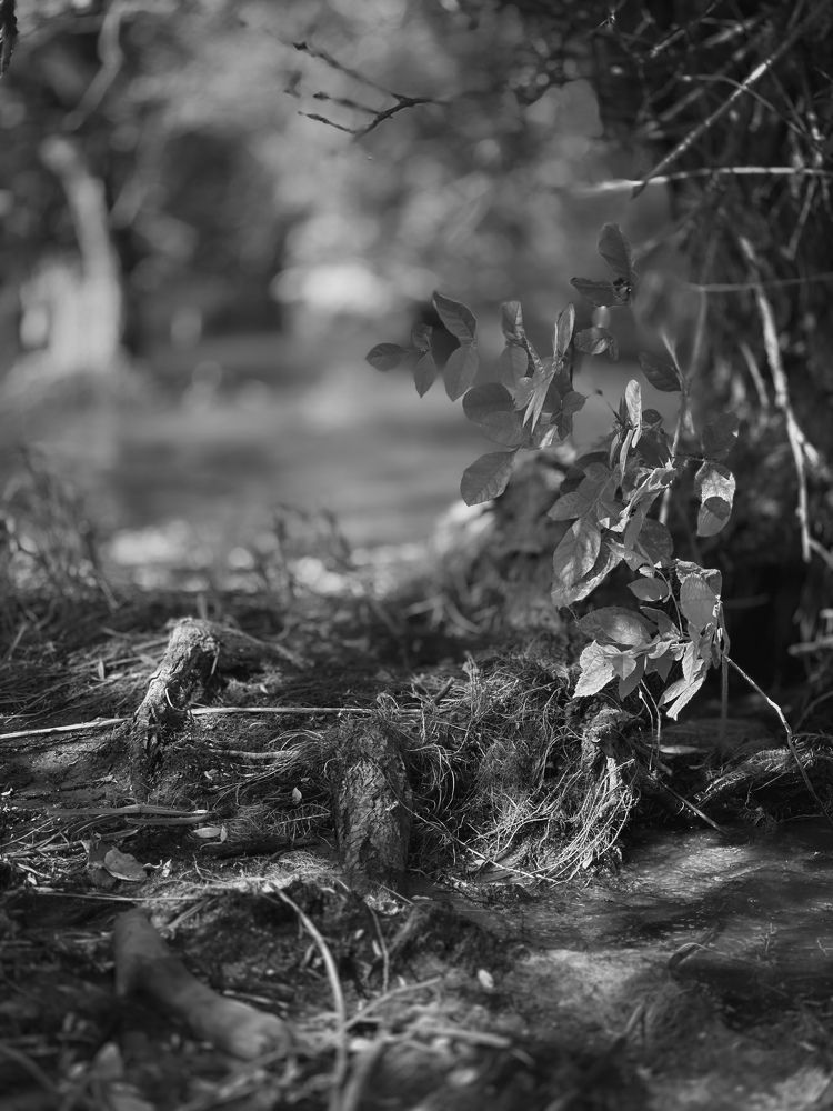 Photograph by Александр Лубков