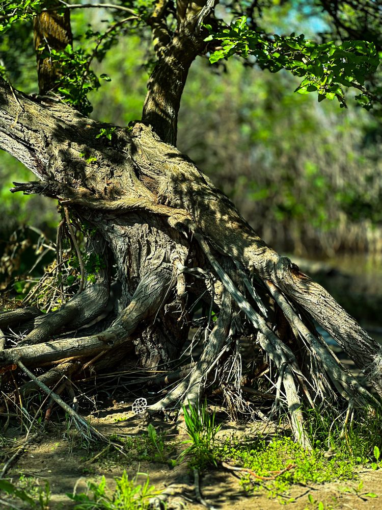 Photograph by Александр Лубков