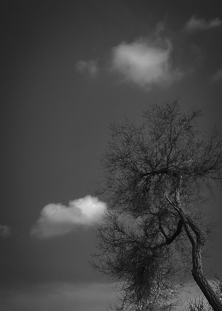 Photograph by Александр Лубков