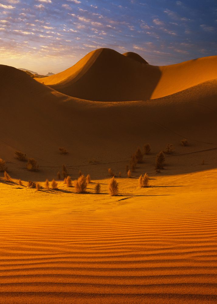 Photograph by Shahram Hafezi